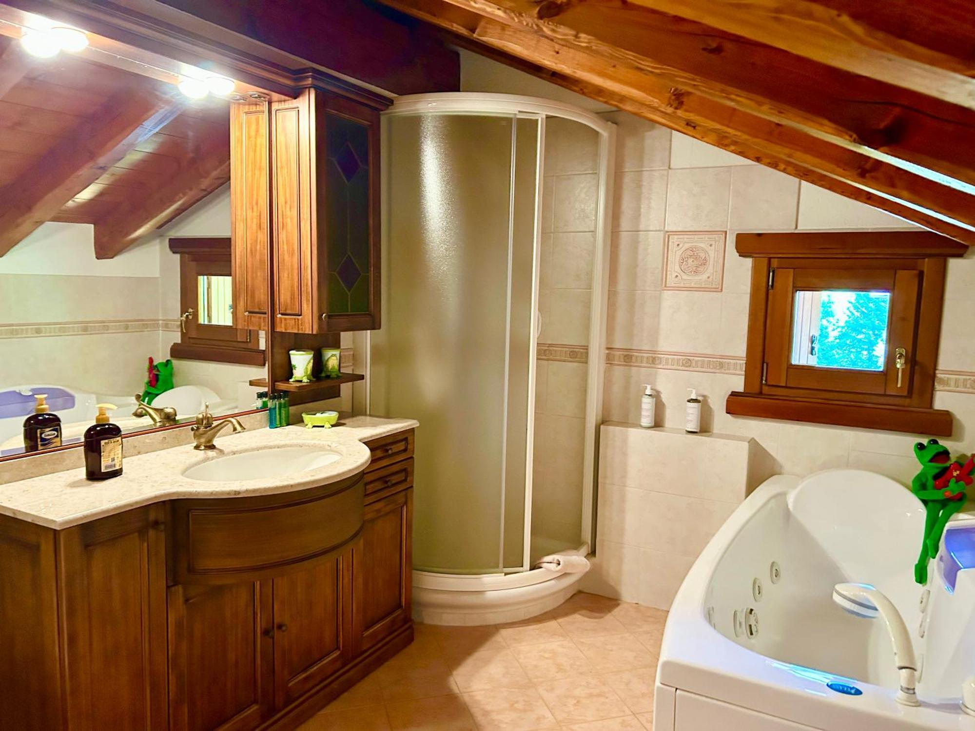Mansarda Luminosa Apartment La Thuile